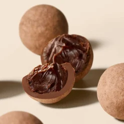 Hotel Chocolat Panned Pecan Nutmilk Praline Selector