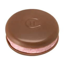 Hotel Chocolat Raspberry Macarons Online