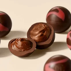 Hotel Chocolat Raspberry Nutmilk Ganache Selector Hot