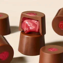 Hotel Chocolat Raspberry Smoothie Chocolates Selector Best