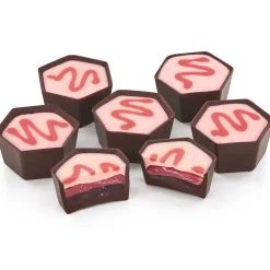 Hotel Chocolat Triple Cranberry Chocolate Selector Sale